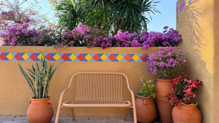 Comment embellir sa cour avec un petit budget ?