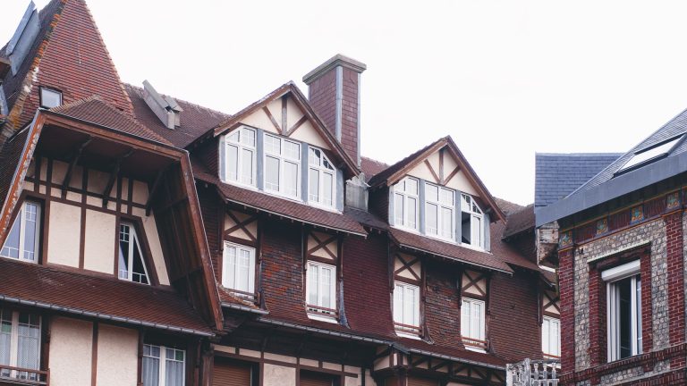 Pourquoi y a-t-il des chauves-souris sous sa toiture ?