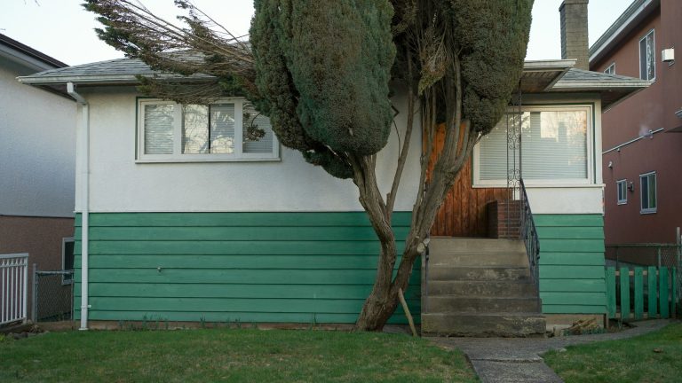 Quels arbres ne faut-il pas planter trop près de sa maison ?