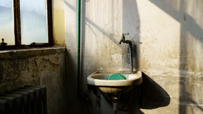 Quels types de moisissures sont les plus courants dans une maison ?