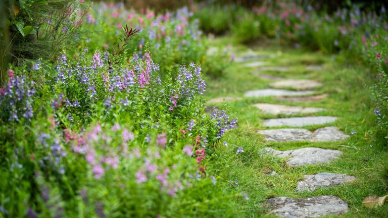 Comment avoir un beau jardin sans entretien ?