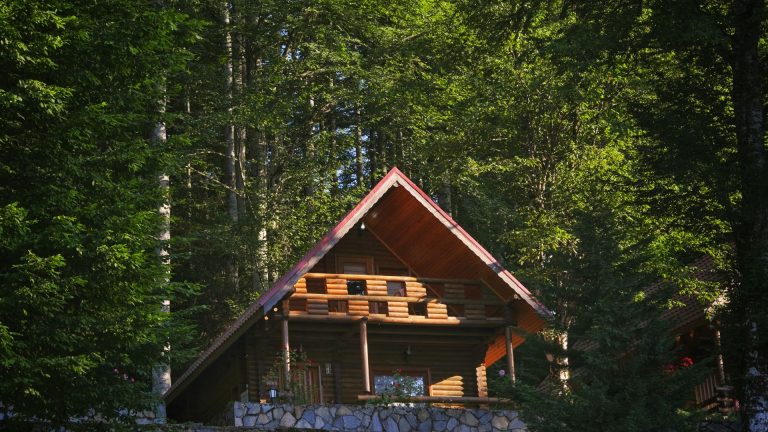 Quels sont les avantages d’une maison en bois ?